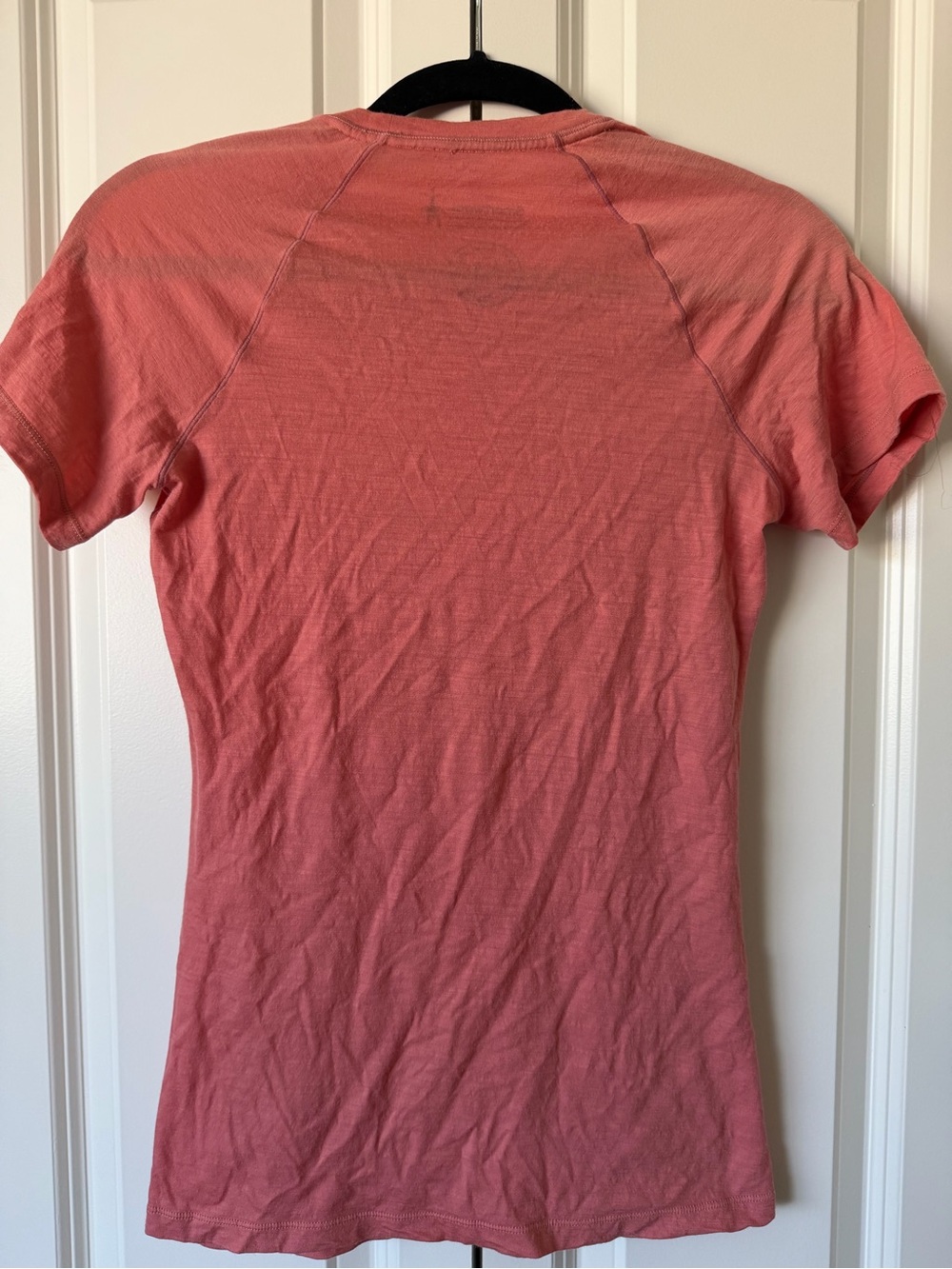 Smartwool Merino 150 Plant-based Dye T-shirt - Picture 4 of 4